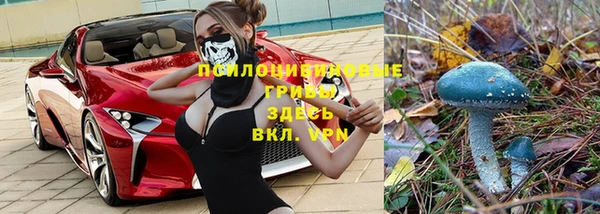 прущая мука Волоколамск