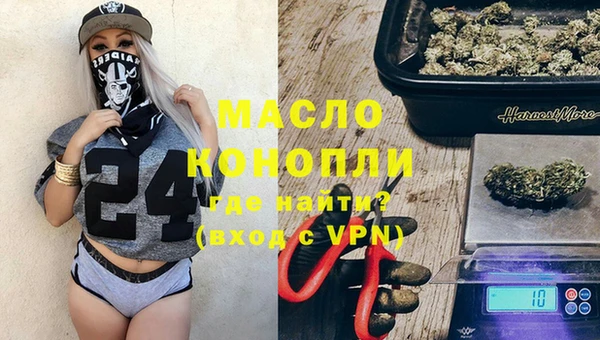 спиды Вяземский