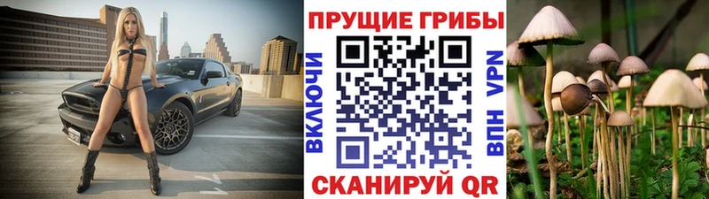 Псилоцибиновые грибы мухоморы Чаплыгин
