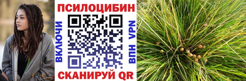 Купить закладки  Чаплыгин  Галлюциногенные грибы MAGIC MUSHROOMS 